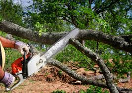 Sandy, OR Tree Services Pros