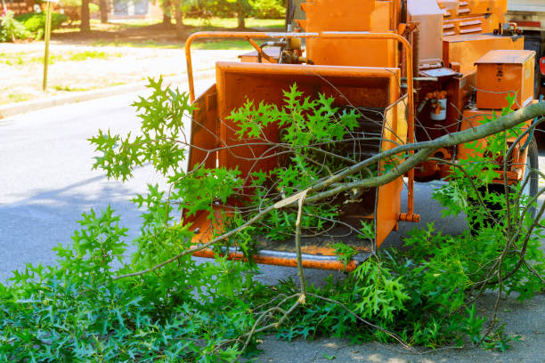 Best Lawn Drainage Solutions  in Sandy, OR