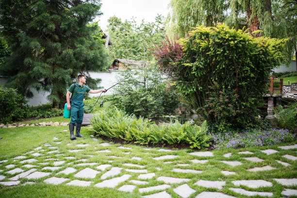 Best Root Management and Removal  in Sandy, OR