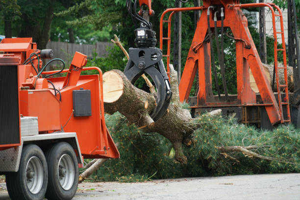 Best Lawn Irrigation Installation and Maintenance  in Sandy, OR