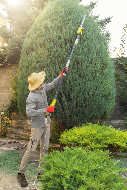 Best Commercial Tree Services  in Sandy, OR